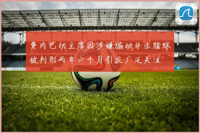 费内巴切主席因涉嫌煽动非法赌球被判刑两年六个月引发广泛关注