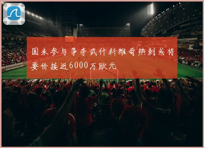 国米参与争夺武什科维奇热刺或将要价接近6000万欧元