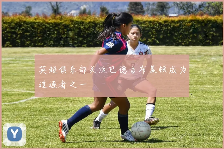 英超俱乐部关注巴德吉布莱顿成为追逐者之一
